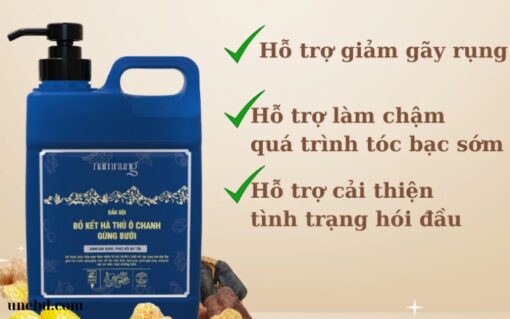 Gội Xả Thảo Dược Nam Nung (1)