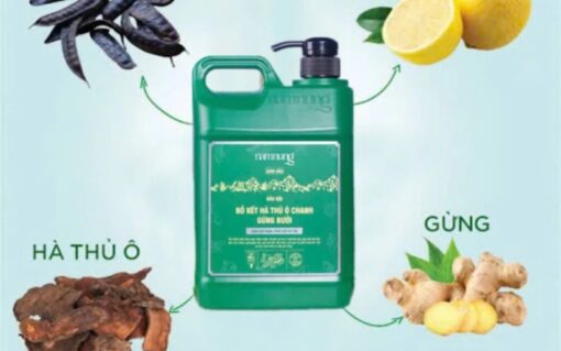 Dầu gội xả thảo dược xanh lá (1)