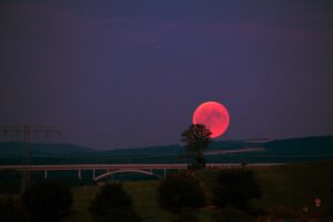 Blood Curses and Family Secrets The Legacy of Generational Trauma and Healing