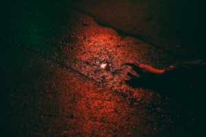 Bloodlines of Fire A Chronicle of Broken Pacts and Eternal Wars