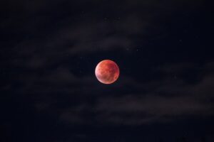 The Book of Blood Prophecies Buried in the Ashes of Rebellion