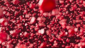 The Fascinating Process of Blood Cell Production Within the Bone Marrow